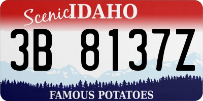 ID license plate 3B8137Z