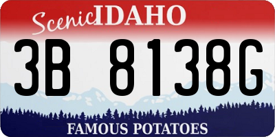 ID license plate 3B8138G