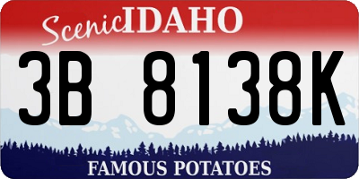 ID license plate 3B8138K