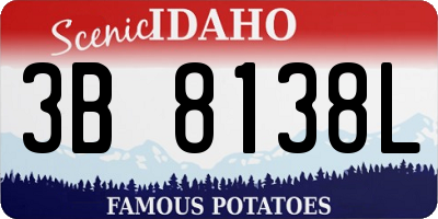 ID license plate 3B8138L