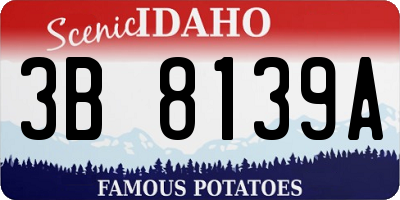 ID license plate 3B8139A