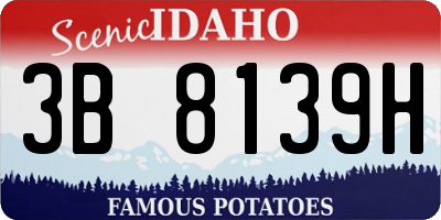 ID license plate 3B8139H