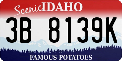 ID license plate 3B8139K
