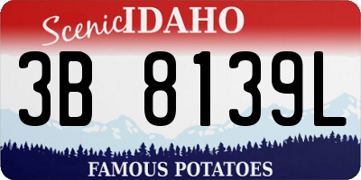 ID license plate 3B8139L