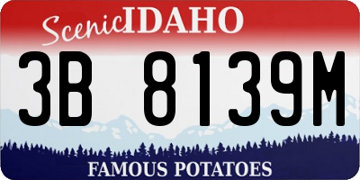 ID license plate 3B8139M