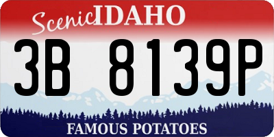 ID license plate 3B8139P