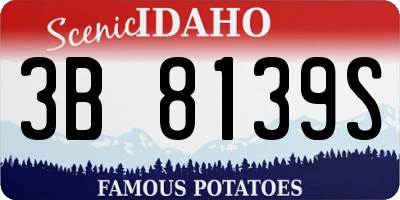 ID license plate 3B8139S