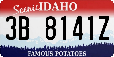 ID license plate 3B8141Z
