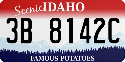 ID license plate 3B8142C
