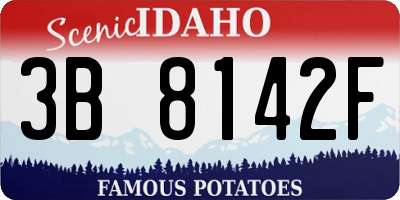 ID license plate 3B8142F