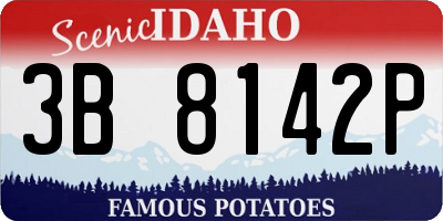 ID license plate 3B8142P