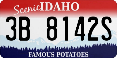 ID license plate 3B8142S