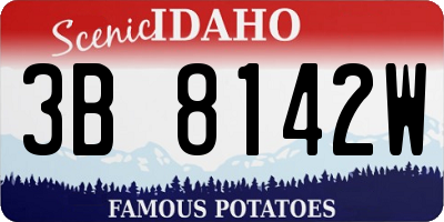 ID license plate 3B8142W