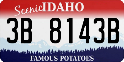 ID license plate 3B8143B