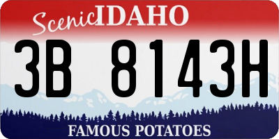 ID license plate 3B8143H