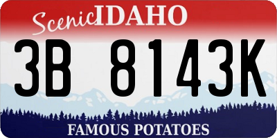 ID license plate 3B8143K