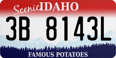 ID license plate 3B8143L