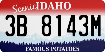 ID license plate 3B8143M