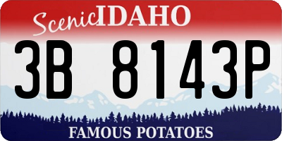 ID license plate 3B8143P