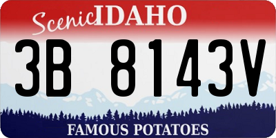 ID license plate 3B8143V