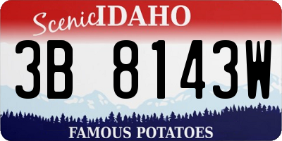ID license plate 3B8143W