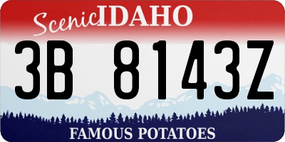 ID license plate 3B8143Z