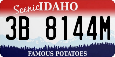 ID license plate 3B8144M