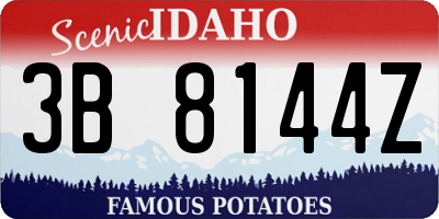 ID license plate 3B8144Z