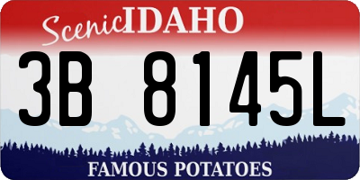 ID license plate 3B8145L