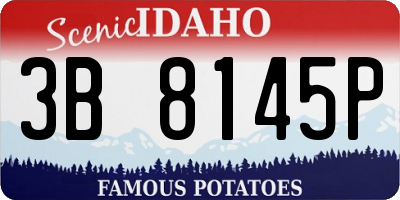 ID license plate 3B8145P