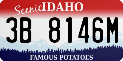 ID license plate 3B8146M