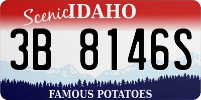 ID license plate 3B8146S