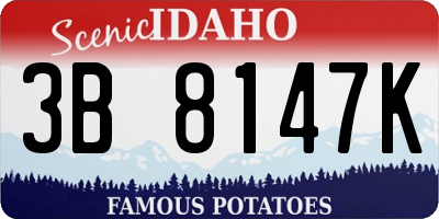 ID license plate 3B8147K