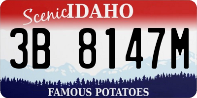 ID license plate 3B8147M