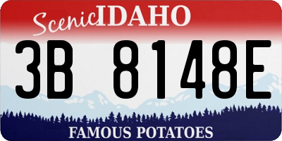 ID license plate 3B8148E