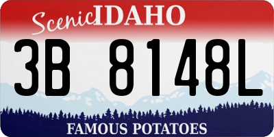 ID license plate 3B8148L