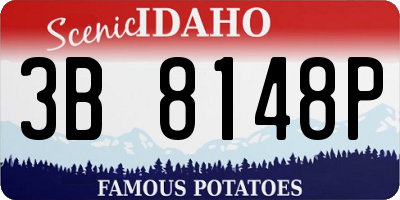 ID license plate 3B8148P