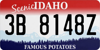 ID license plate 3B8148Z