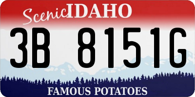 ID license plate 3B8151G