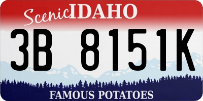 ID license plate 3B8151K
