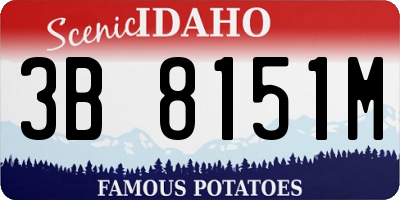 ID license plate 3B8151M
