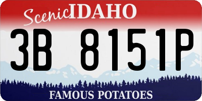 ID license plate 3B8151P