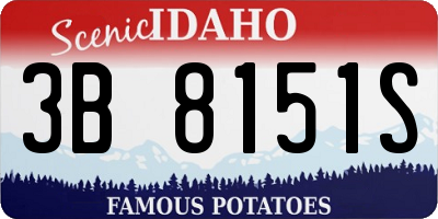 ID license plate 3B8151S