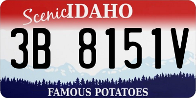 ID license plate 3B8151V