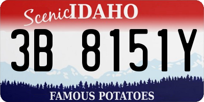 ID license plate 3B8151Y