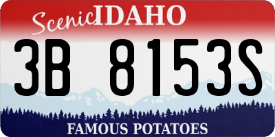 ID license plate 3B8153S