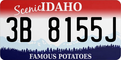 ID license plate 3B8155J