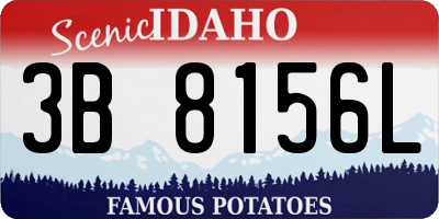 ID license plate 3B8156L