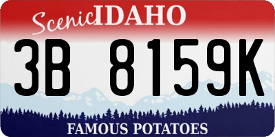 ID license plate 3B8159K