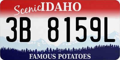 ID license plate 3B8159L